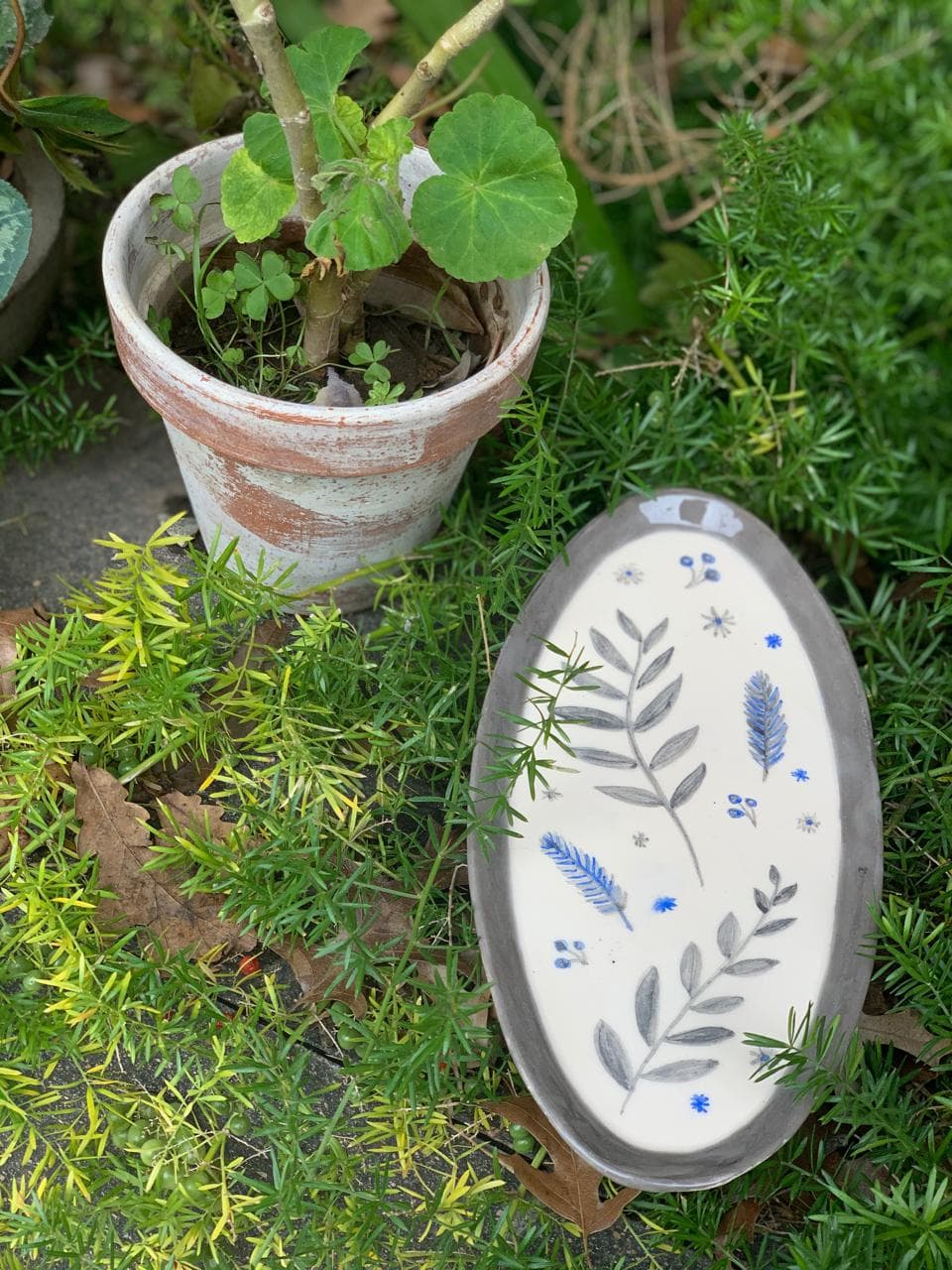 ceramica